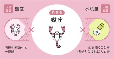 【獅子座＆蠍座】男女の相性・性格は？カップルの恋愛・夫婦の。